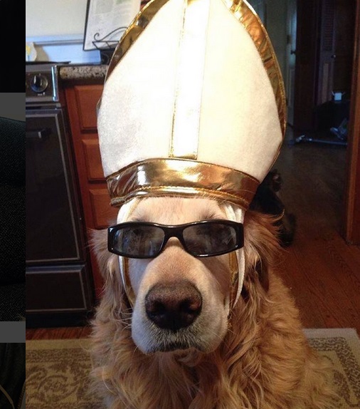 Top 10 Crazy Catholic Pope Dogs