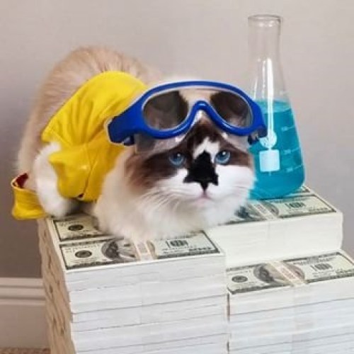 Top 10 Animals in Breaking Bad Costumes