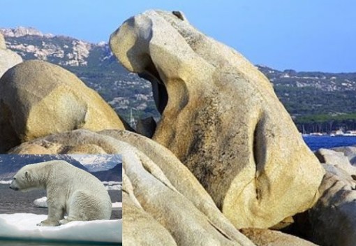 Top 10 Amazing Animal Shaped Rock Formations