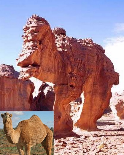 Top 10 Amazing Animal Shaped Rock Formations