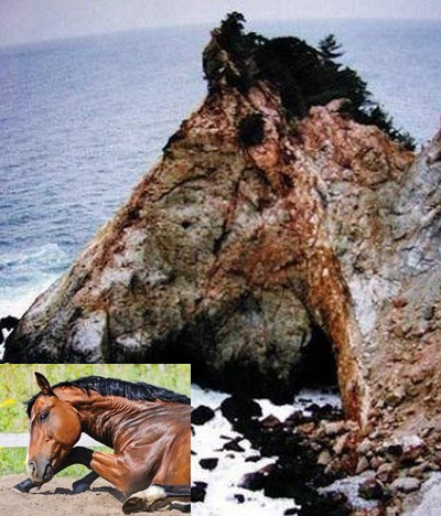 Top 10 Amazing Animal Shaped Rock Formations