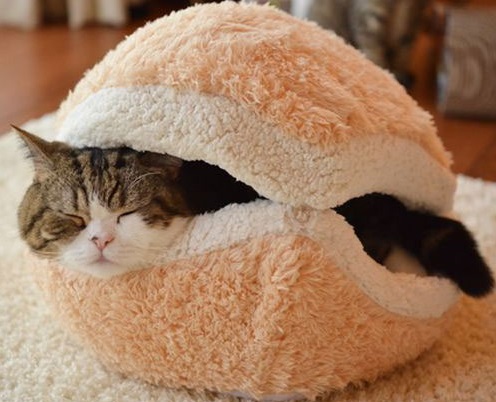 Top 10 Nerdy and Unusual Cat Beds