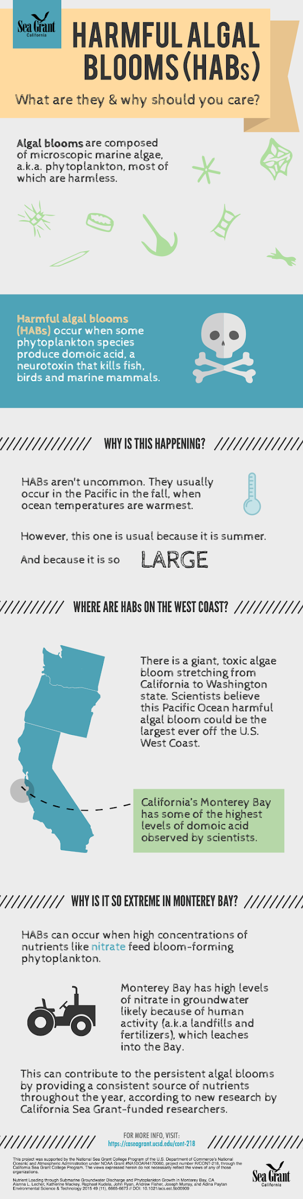 Harmful Algal Bloom infographic