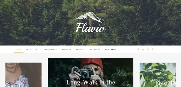 Flavio---A-Personal-&-Responsive-WordPress-Theme