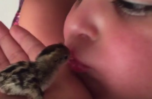 Top 10 Pictures Of Babies Kissing Animals