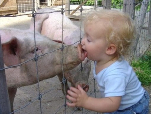 Top 10 Pictures Of Babies Kissing Animals