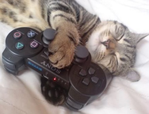 Top 10 Nerdy Sony PlayStation Cats