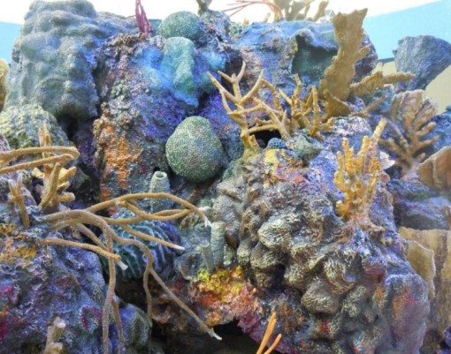 Top 10 Colourful Coral Reef Sculptures