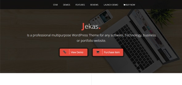 Jekas---Software-&-Business-WordPress-Theme