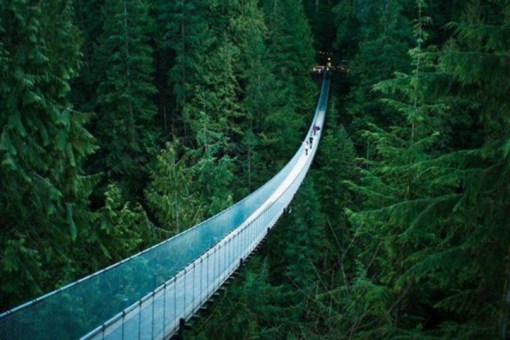 Top 10 Crazy & Unusual Footbridges