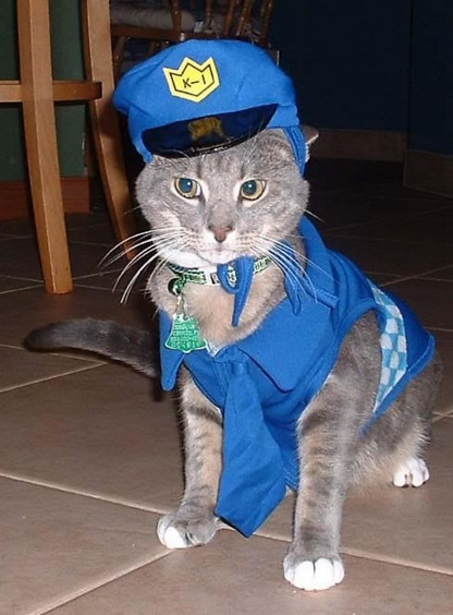 Top 10 Crime Fighting Police Cats