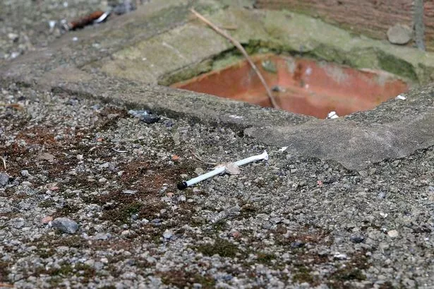 A needle near to the derelict house in Loftus