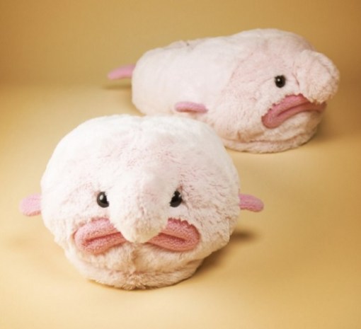 Blobfish Slippers