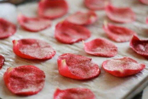 Candied Rose Petals