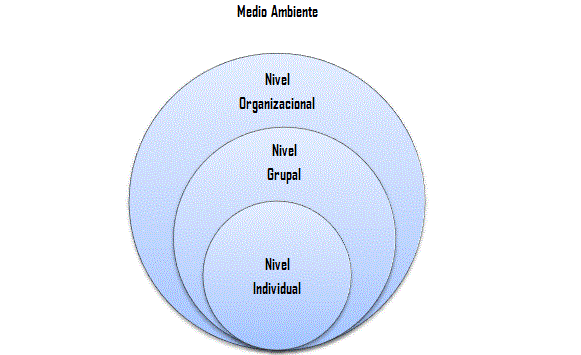 Niveles del Comportamiento Organizacional