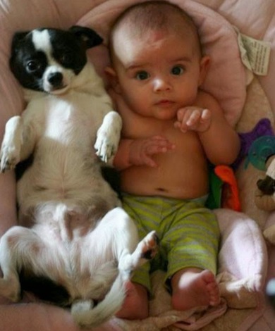 Top 10 Lovable Dogs That Look Like Babies