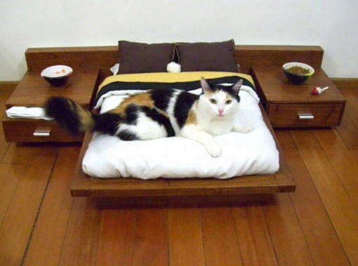 Top 10 Nerdy and Unusual Cat Beds