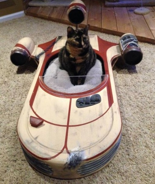 Top 10 Nerdy and Unusual Cat Beds