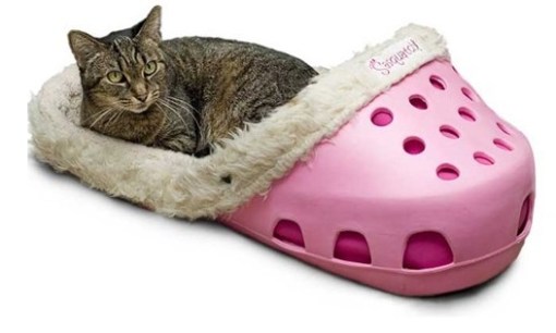 Top 10 Nerdy and Unusual Cat Beds