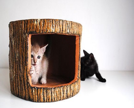 Top 10 Nerdy and Unusual Cat Beds