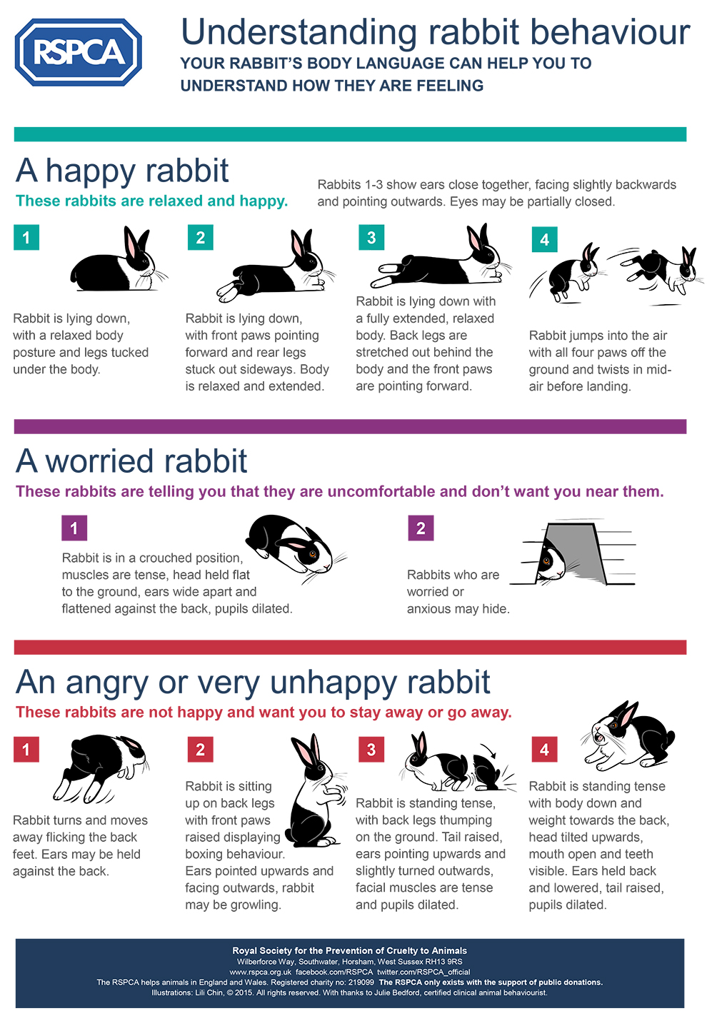 RSPCA Understanding Rabbit Behaviour