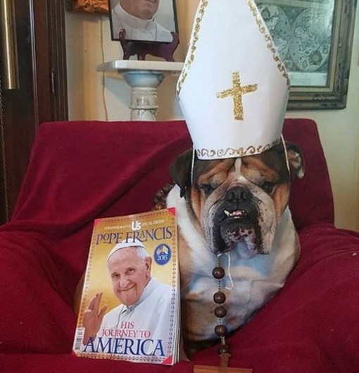 Top 10 Crazy Catholic Pope Dogs