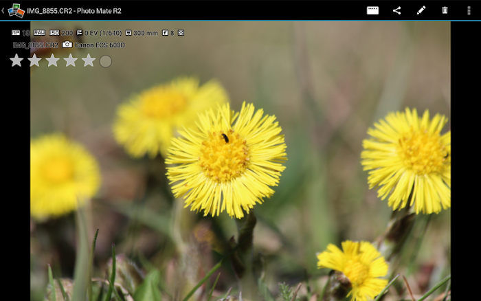  Photo Mate R2- screenshot 