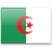 وظائف فى الجزائر