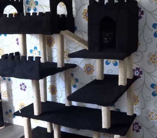Top 10 Amazing and Unusual Cat Towers