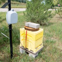 Beehive connected to internet.