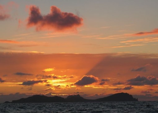 Top 10 Fluffy Clouds That Look Like Animals