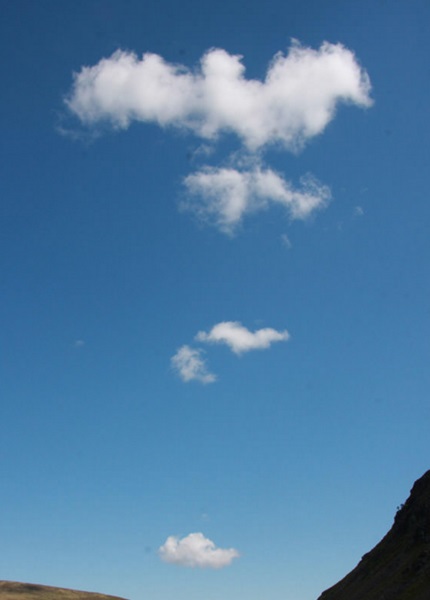 Top 10 Fluffy Clouds That Look Like Animals