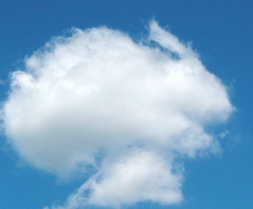 Cloud Formation That Looks Just Like a Rabbit