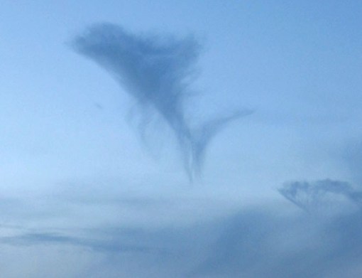 Top 10 Fluffy Clouds That Look Like Animals