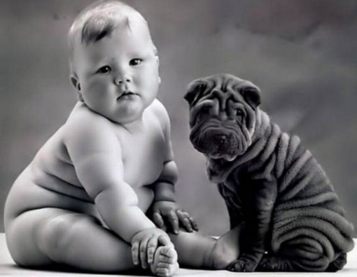 Top 10 Lovable Dogs That Look Like Babies