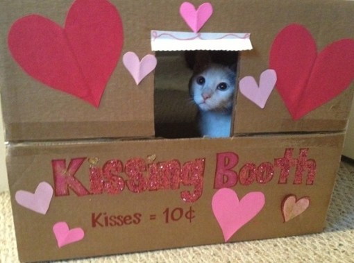 Top 10 Super Smoochy Kissing Booth Cats