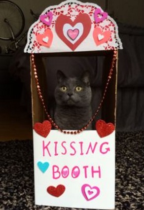 Top 10 Super Smoochy Kissing Booth Cats