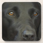 Black Labrador Dog Drink Coaster