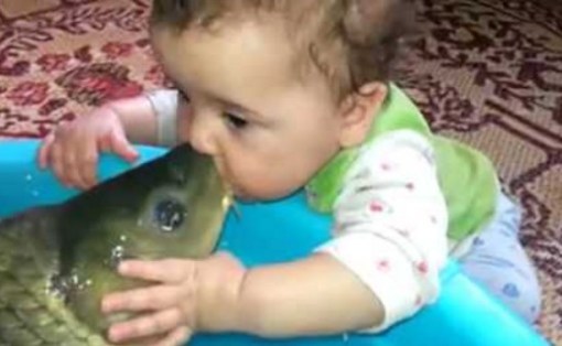 Top 10 Pictures Of Babies Kissing Animals