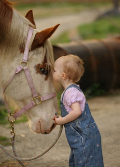 Top 10 Pictures Of Babies Kissing Animals