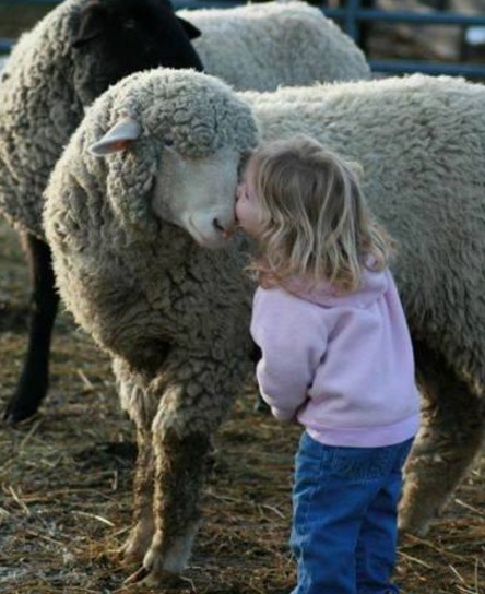 Top 10 Pictures Of Babies Kissing Animals