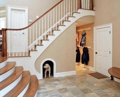 best indoor dog house