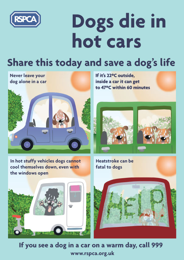 Dogs die in hot cars Infographic - RSPCA