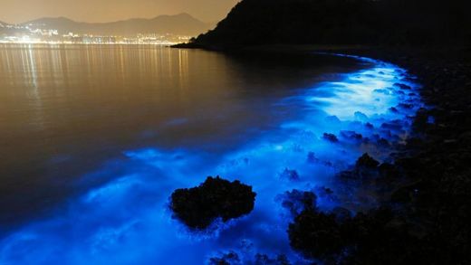 This Thursday, Jan. 22, 2015 photo made with a long exposure shows the glow from a Noctiluca scintillans algal bloom along the seashore in Hong Kong. The luminescence, also called Sea Sparkle, is triggered by farm pollution that can be devastating to mari