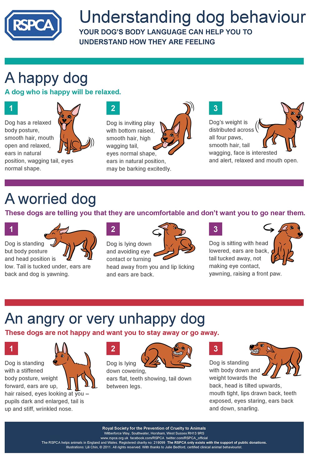RSPCA Understanding Dog Behaviour
