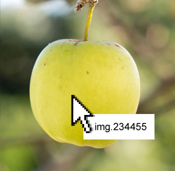 apple-2.2.jpg