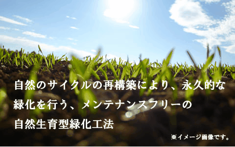 ijPCGt̎R^ΉH@ yۍH@