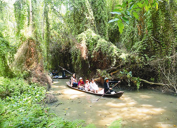 A rowboat carries tourists along a canal in Dong Thap Province’s Xeo Quyt Tourist Area