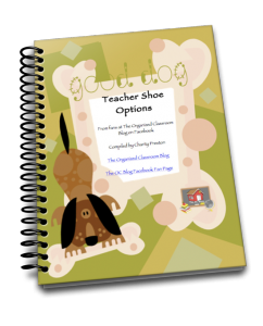 Want your free copy of the Teacher Shoe Options guide?