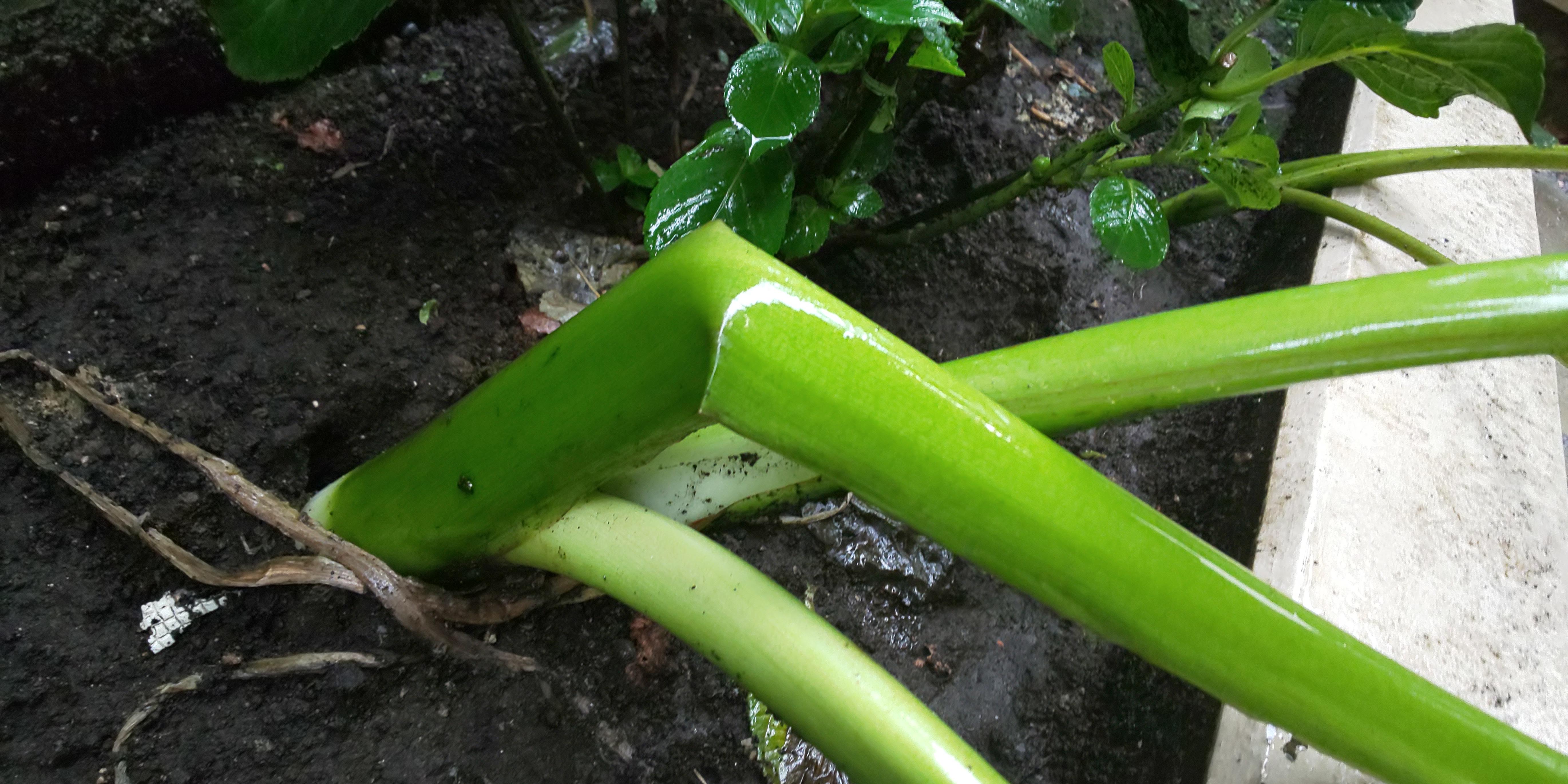 2019/09/09 䂭䕗B̒B񂽂́AJǂȂOIȎSsՂB